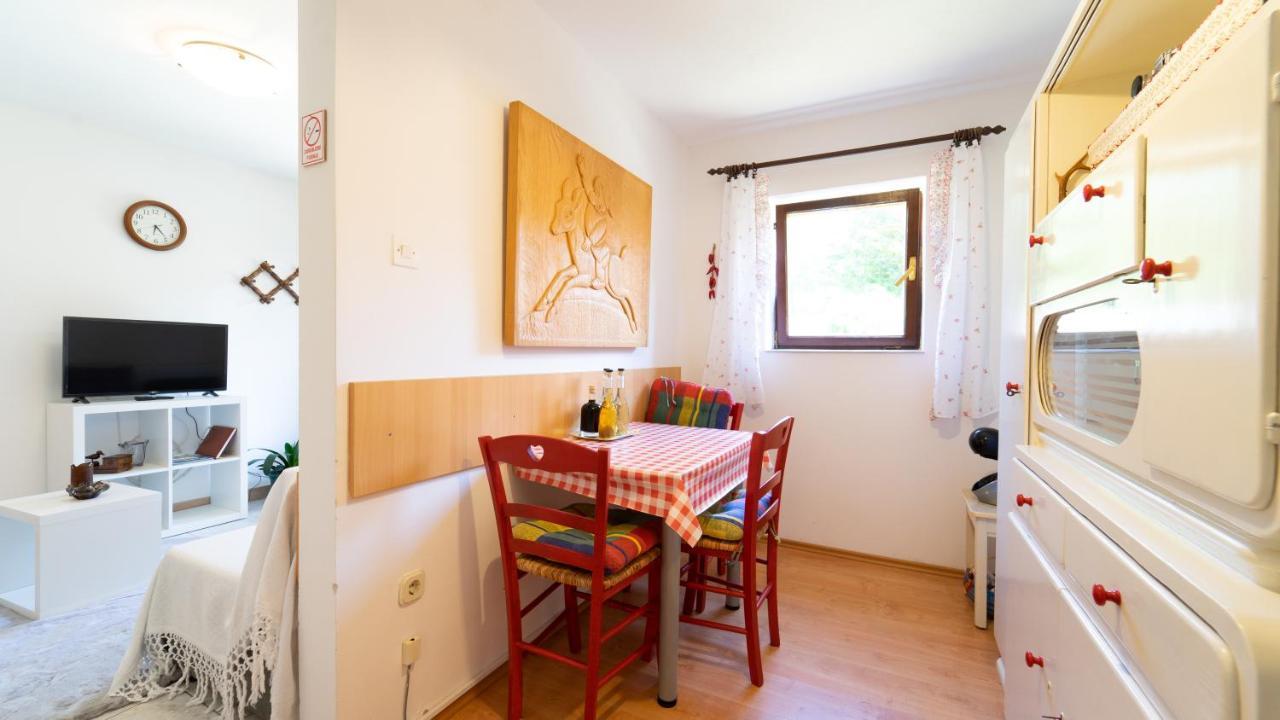 Karolina Apartamento Fužine Exterior foto
